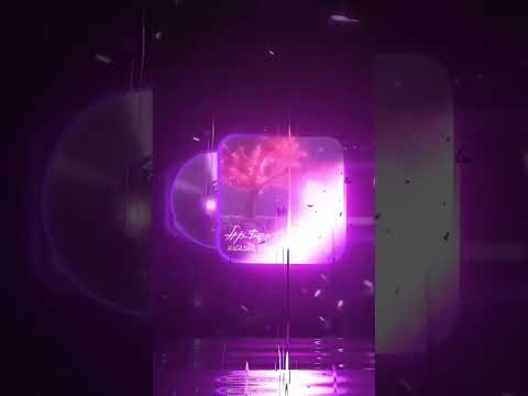 хз чо писать стой а можно я стобой🎧