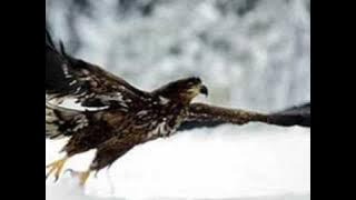 Opwekking 488 - de kracht van Uw liefde