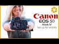 Canon 5d Mark IV Settings For Wildlife Photography