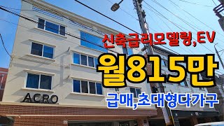 [대구원룸매매] 수익률10% 월세815만 올리모델링 엘리베이터증축 대형다가구