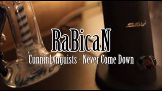 Silver Surfer Vaporizer (SSV) with Robin Hood Bubbler
