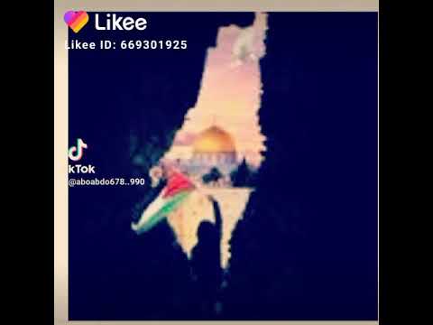 نور على نور