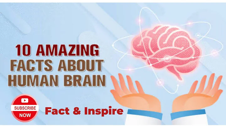 10 Surprising Facts About the Human Brain |fact & inspire 