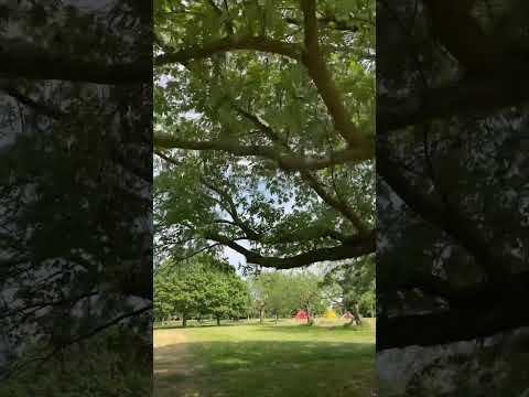 #london #unitedkingdom #travelvlog