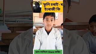 কুলি চৰাই- ৰ ইংৰাজী কি? Learn English speaking vocabulary through Assamese