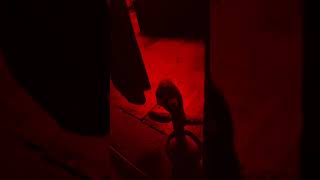 FNAF four irl but the monster is a dancing cactus