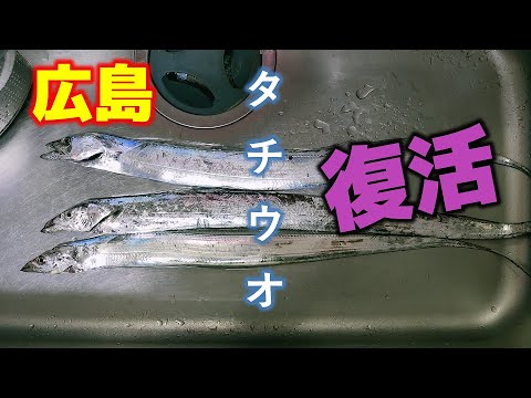 広島で絶滅したと言われるタチウオを復活させました 21年6月3日釣行 100種釣りチャレンジ中 28 100 Youtube