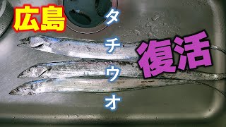 広島で絶滅したと言われるタチウオを復活させました 21年6月3日釣行 100種釣りチャレンジ中 28 100 Youtube