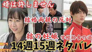 【おむすび14週15週ネタバレ】幸子の猛反対!婿にはやらん!両親反対!結の妊娠,子ども出産,学校給食へ実在モデル松丸奨,朝ドラあらすじ予告1月6日から17日,菅生新樹,中村守里