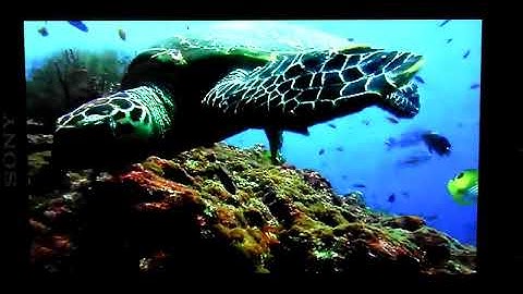 Sony Xperia U Bravia HD video playback  test