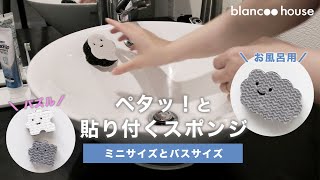 めっちゃ便利。壁にペタっ！と貼り付くからいつでも使いやすいスポンジ【ロハコ限定】