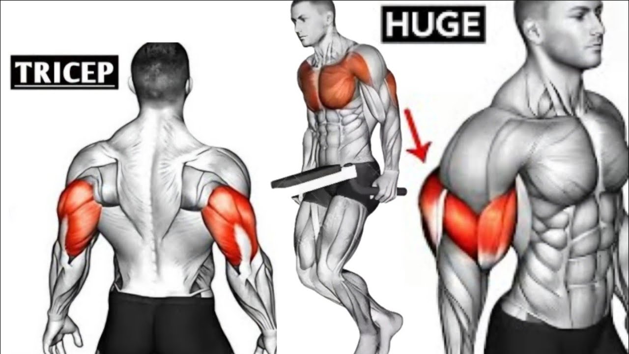 How to Get Big Triceps | These are the 8 Perfect Exercises for Building ...