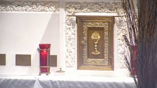 The Christian Call to Service: Authority in the Church vs. the World