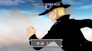 One Piece Sabo Use Haki Sabo 17 Years Old