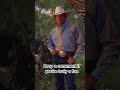 #countrymusic #cowboys #music #trending #song #georgestrait #concert #worldwide #countrymusicfans