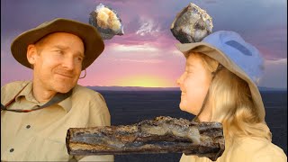 We Found Crystalized Petrified Wood in the Blue Forest of Wyoming (Green River Formation)
