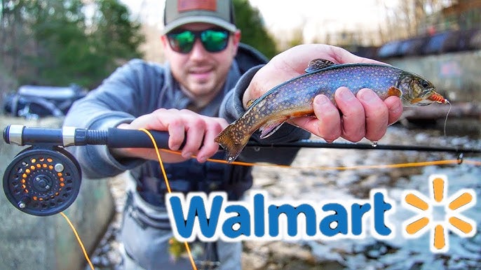 We Bought the CHEAPEST FLY ROD At Walmart—Will It Catch Trout