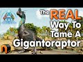 Gigantoraptor Zähmung In Ark Und Es Funktioniert Wirklich ArkSurvivalAscended Gigantoraptor Zähmung In Ark Und Es Funktioniert Wirklich ArkSurvivalAscended