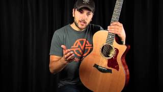 Cedar - Acoustic Guitar Tonewood Guide