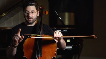 Cello Anatomy 101: A Guide for Adult Learners on the Essential Parts of the Cello and Bow