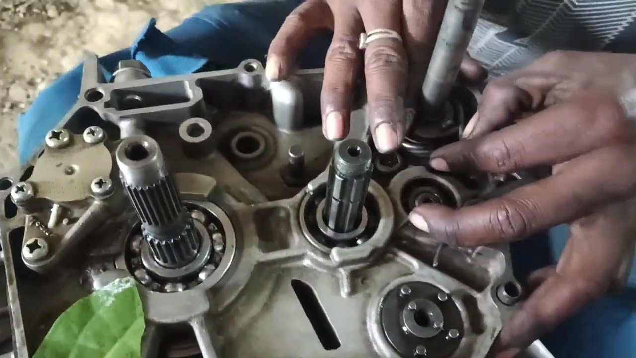 22 फ़रवरी 2025 Gul Mohammed mistri