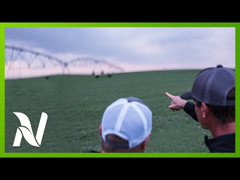 Ag Weather Forecast with Eric Snodgrass (in-depth) - Nutrien Ag Solutions - May 23, 2022