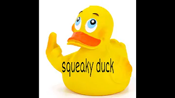 Sound Effects Squeaky Duck 