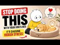Stop Doing THIS With Your Dog's Bed It's Causing Hidden Stress!