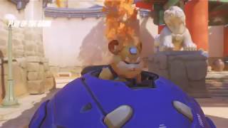 Roadkill ha ha