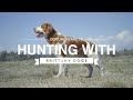 HUNTING WITH BRITTANY DOGS の動画、YouTube動画。