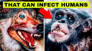 The Most Disturbing Animal Diseases... (That Can Infect Humans)