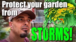 5 Ways to protect your garden from weather! - STORMS are coming!
