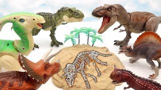 Who&#39;s Dinosaur Bone? 5 Dino Skeleton Find Real Dinosaur! Fun Video For Kids 공룡 뼈 맞추기