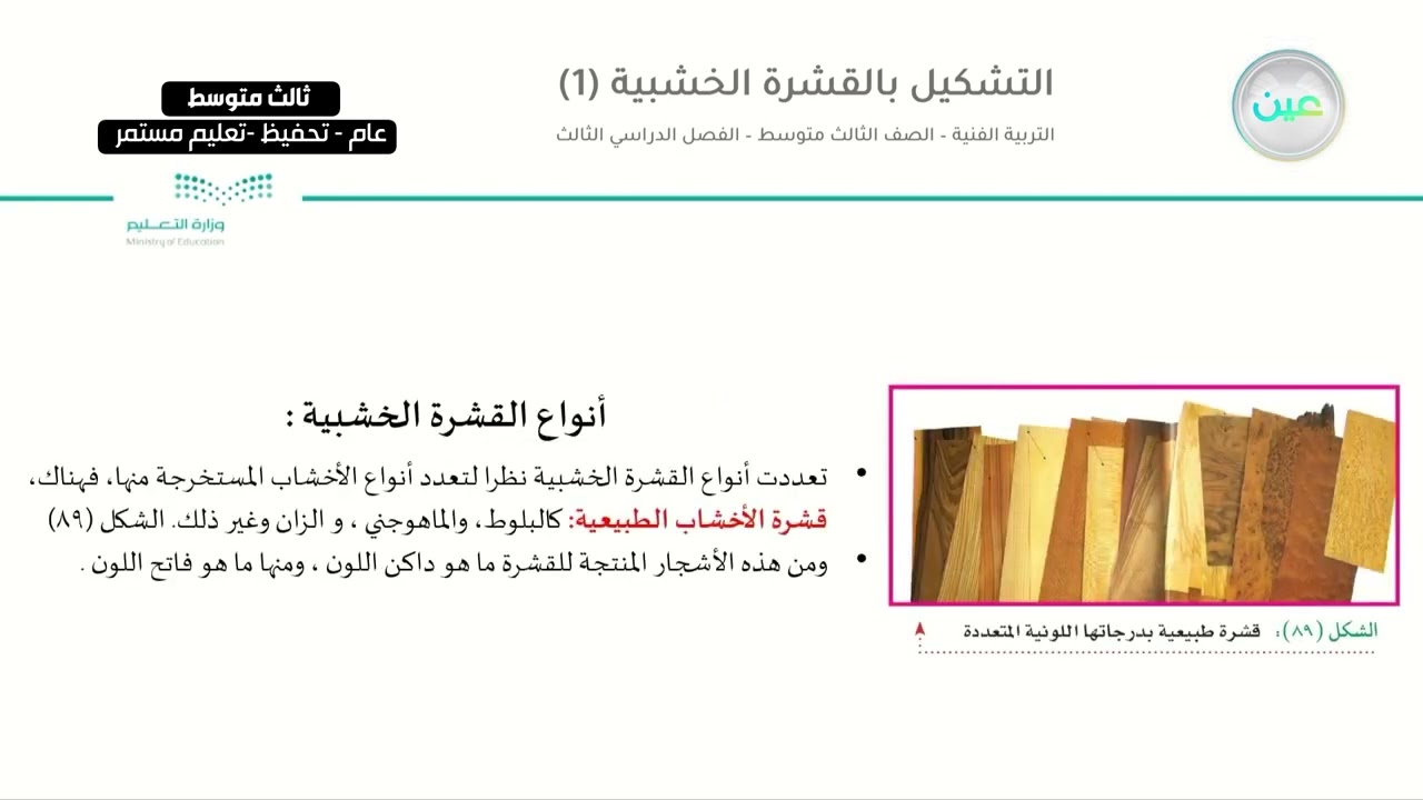 التشكيل بالقشرة الخشبية 1 - التربية الفنية - ثالث متوسط