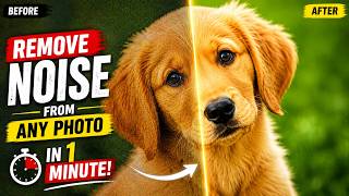 Remove Noise from Any Photo in 1 Minute | Affinity Designer Denoise Tutorial