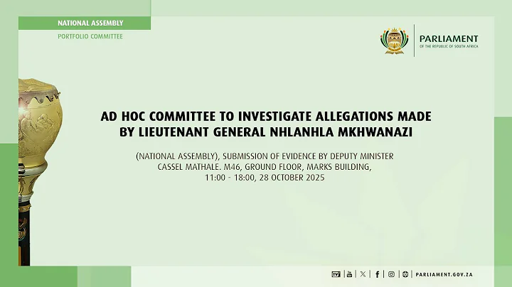 Ad Hoc Committee Investigate Allegations by Lieutenant General Nhlanhla Mkhwanazi, 28 October 2025