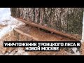 Уничтожение Троицкого леса в Новой Москве / LIVE 29.01.22