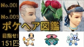 ポケモン図鑑 Youtube ポケモン図鑑 Youtube