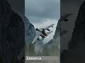 Tornado Kampfjet DESTROYS Weizenfeld — 1000 km/h Flyby 💥 #shorts
