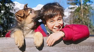 Mon Chien Rex Film Complet En Français Famille