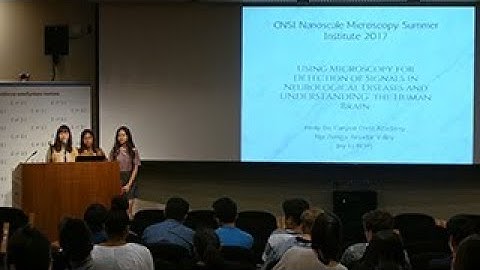 2017 Nanoscale Microscopy - Detecting Signals in Neurological Diseases and Understanding the Brain