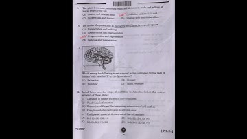 Class 10 Science | CBSE 2025 board exam paper | Answer Key | Set-3, Section-A
