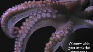 "The Kraken" by Alfred Lord Tennyson