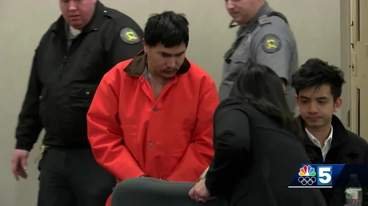 Meat cleaver murder suspect returned to mental fac...