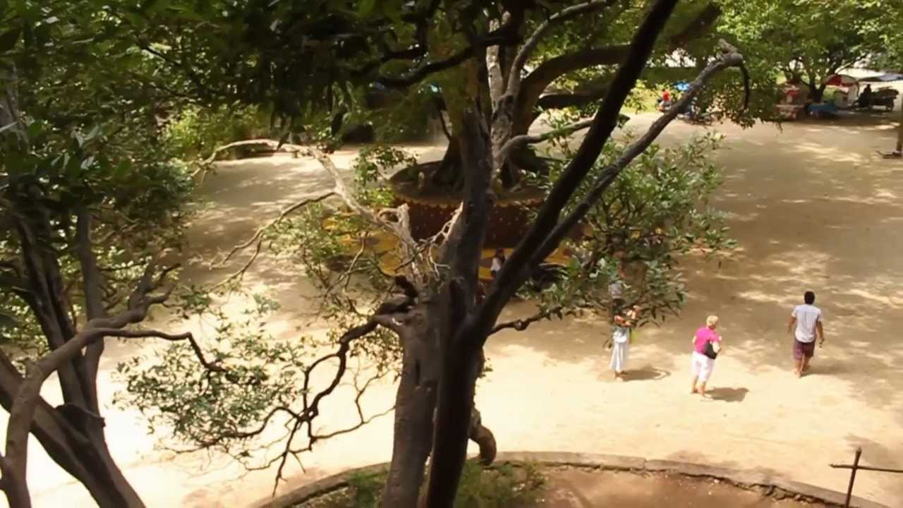 Sumalee Boxing Gym Visit Phang Nga