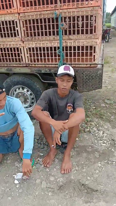 ANTRIAN PANJANG PANEN BROILER KEBUMEN || CARA PANEN AYAM BROILER CLOSE HOUSE
