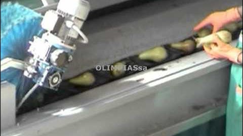 Γραμμή ταξινόμησης αχλαδιών.Grading,Sizing machines processing classification lines for pears.