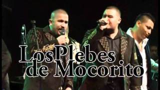 movimiento alterado 2011.avi