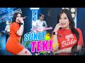 Shinta Arsinta - Suket teki (Official Music Video) | Wong salah ora gelem ngaku salah | STAR MUSIC