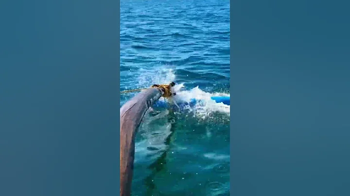 Gliding thru the oceans